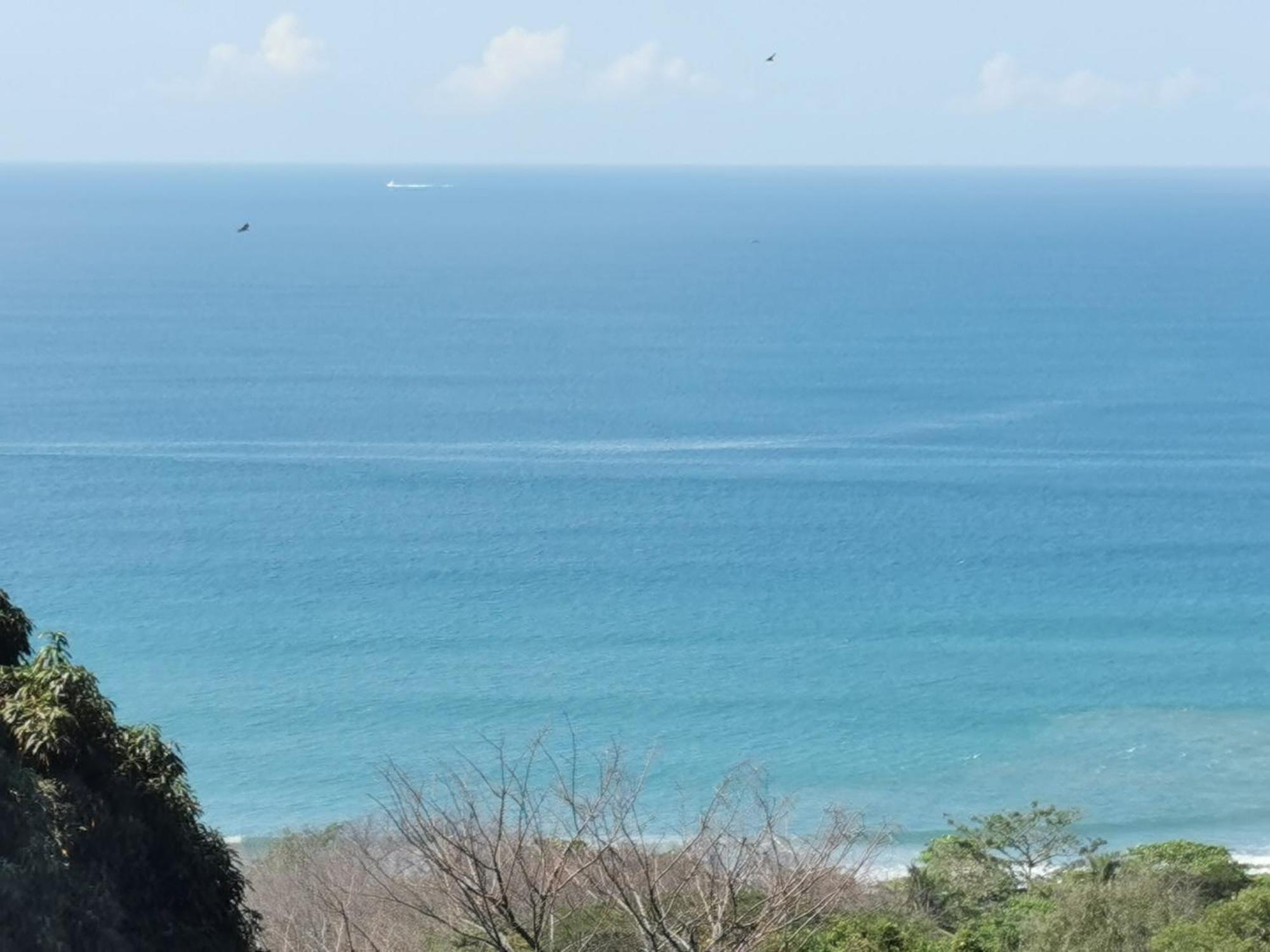 Casa Luna - Private Suites With Ocean View, Pool, Ac, Wifi Playa Santa Teresa  المظهر الخارجي الصورة